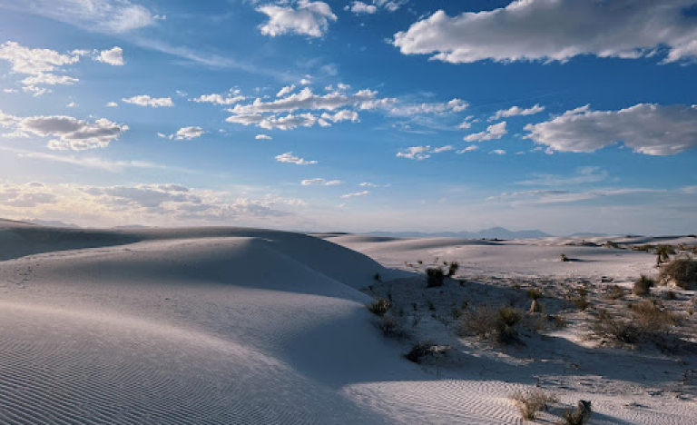 New Mexico service area